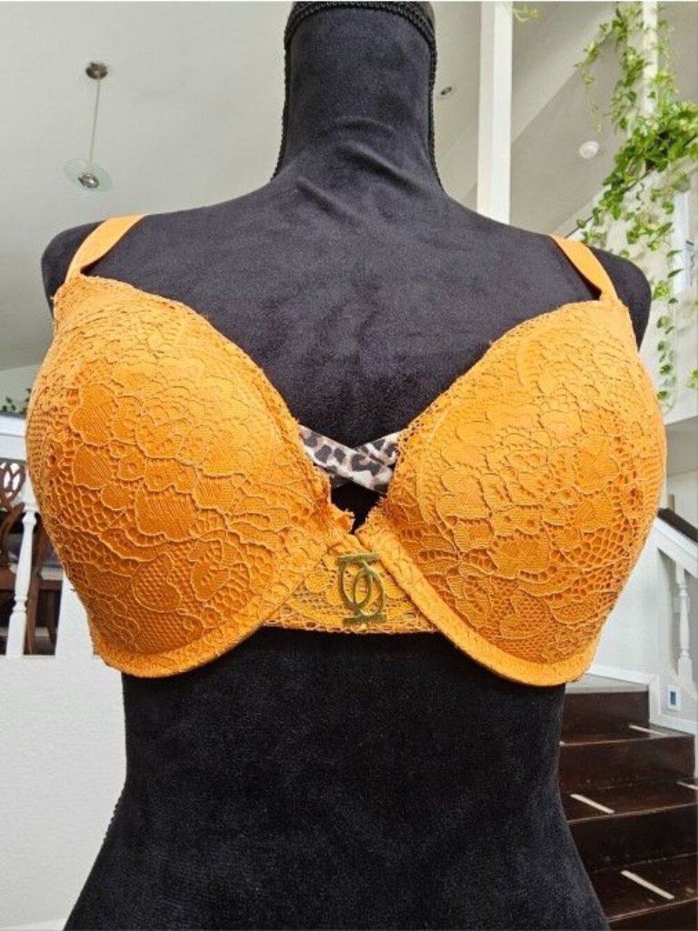 Bebe Push-Up Bra- Trio - Golden Mustard, Fuchsia & Black - Size 34DD - Picture 8 of 15